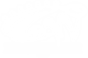 Coan_Web_Logo_wht