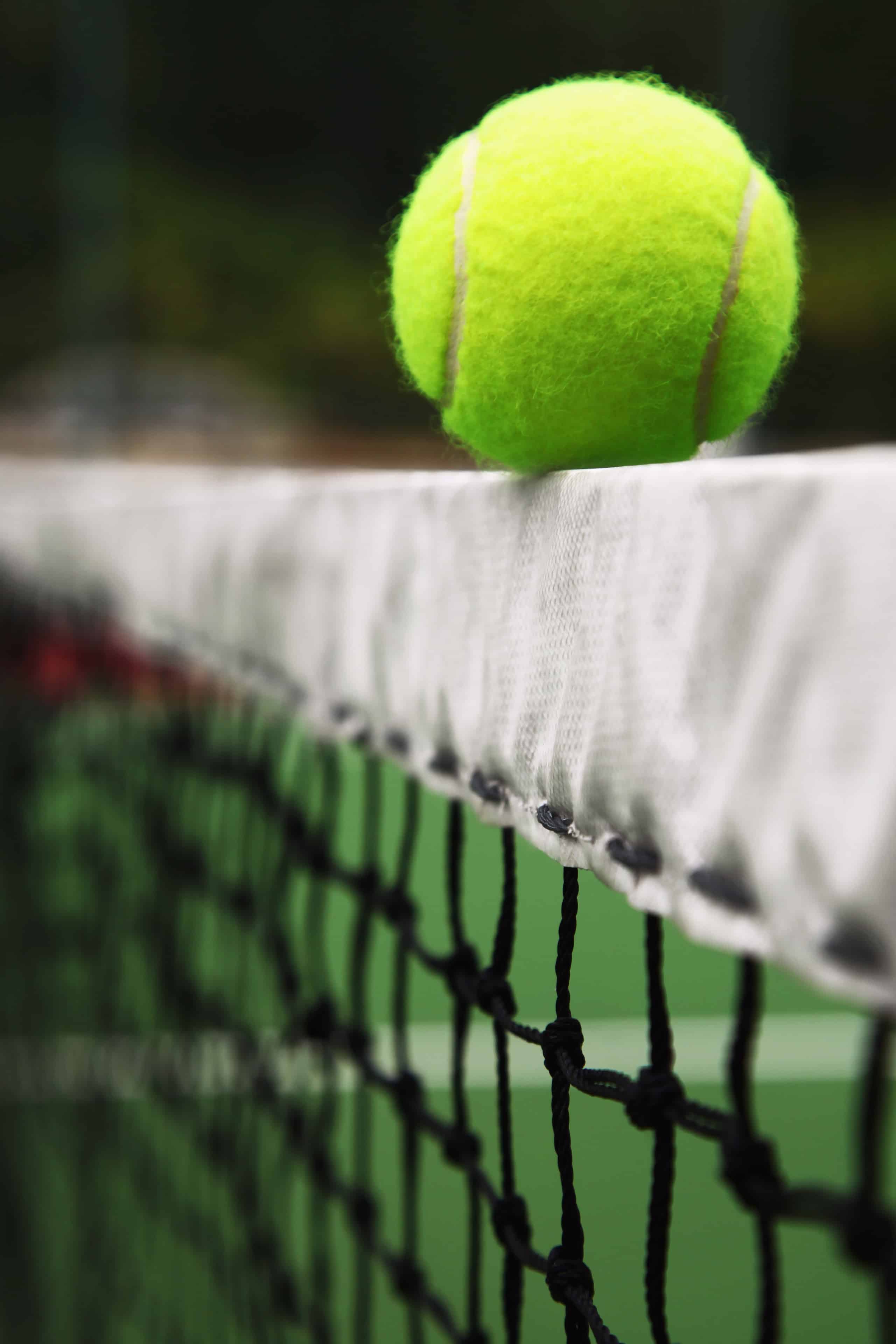 Tennis-ball-and-net