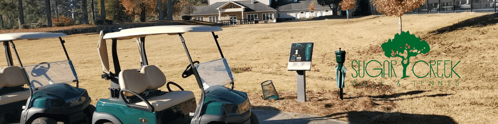 golf_survey