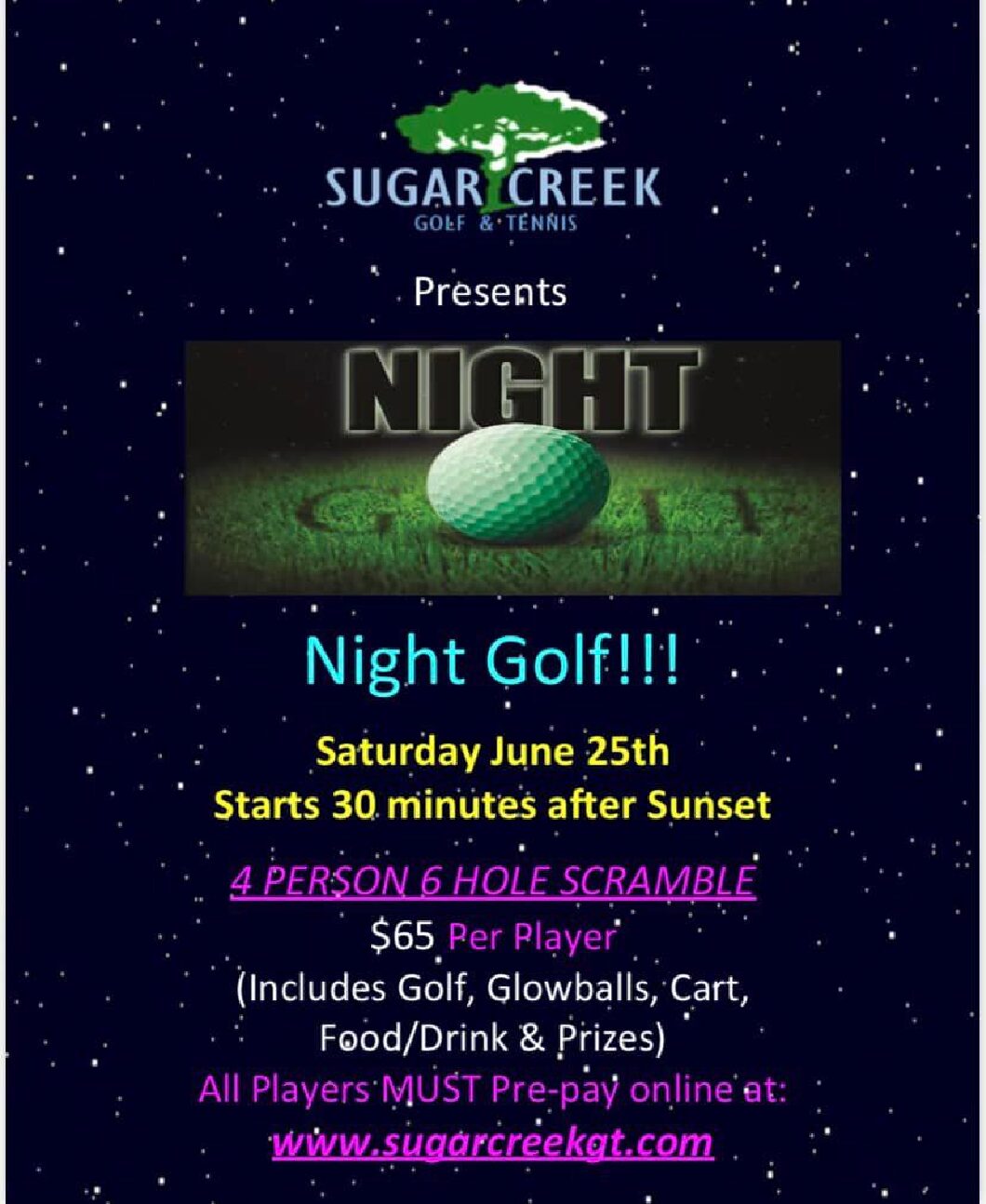 nightGolf20220625-pdf